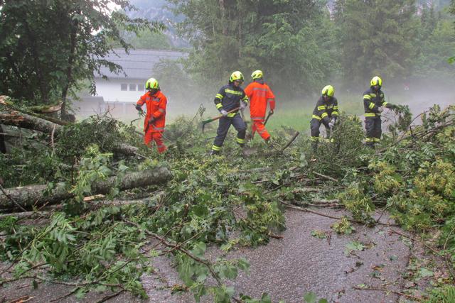 Umgestürzte Bäume versperrten nach dem Unwetter viele Straßen in Bad Goisern.