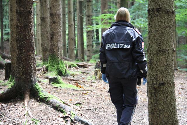 In Kramsach kam es zu einem Erdwespen-Angriff auf Kindergartenkinder, als diese im Wald waren.  | Foto: ZOOM.Tirol