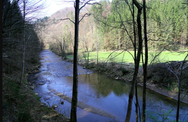 Das Naturjuwel "Kleine Raabtalklamm" konnte nun endgültig von einer geplanten "Staumauer"gerettet werden.