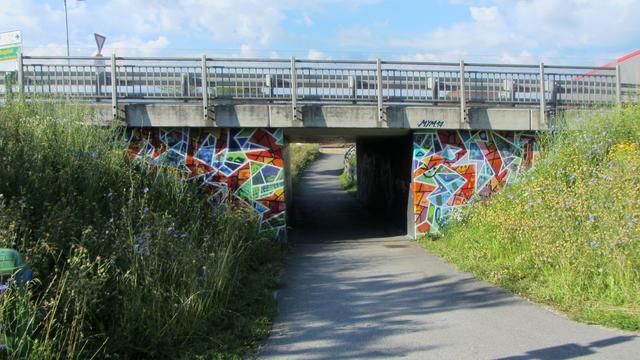 Blütenpracht am Straßenrand in Lamprechtshausen: Eine Vision in gelb-grün.