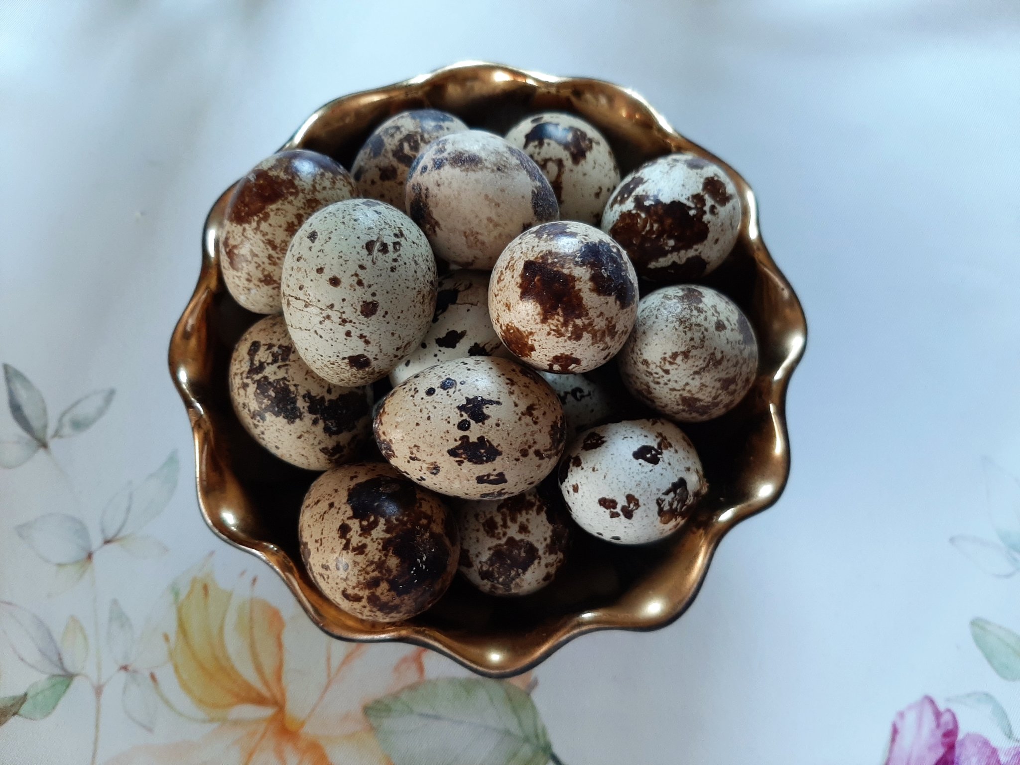 Das Wachtelei Waidhofen/Thaya