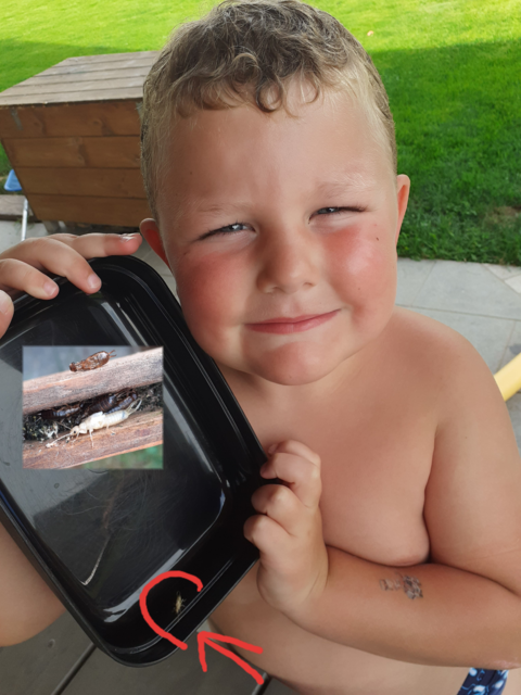 Foto zur vollständigen Ansicht bitte anklicken