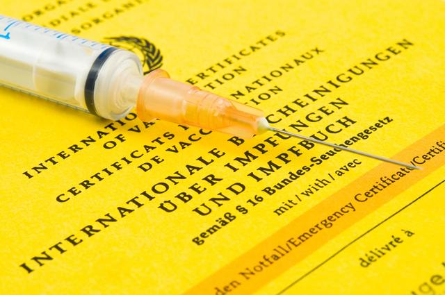 Die Verantwortlichen des Landes stellen vergünstigte FSME-Impfungen zur Verfügung.