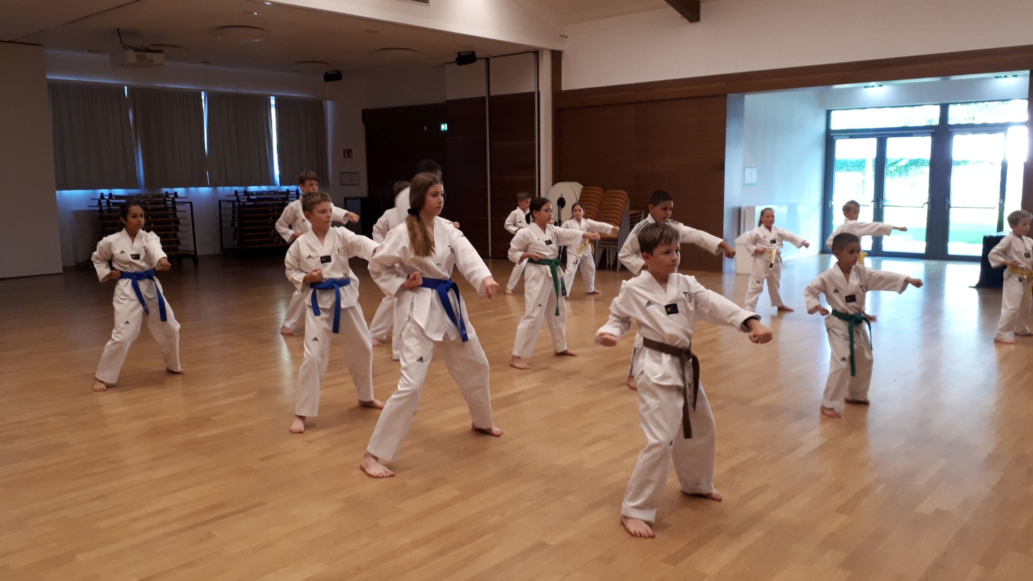 TAEKWONDO FerienTraining ist gestartet Tulln