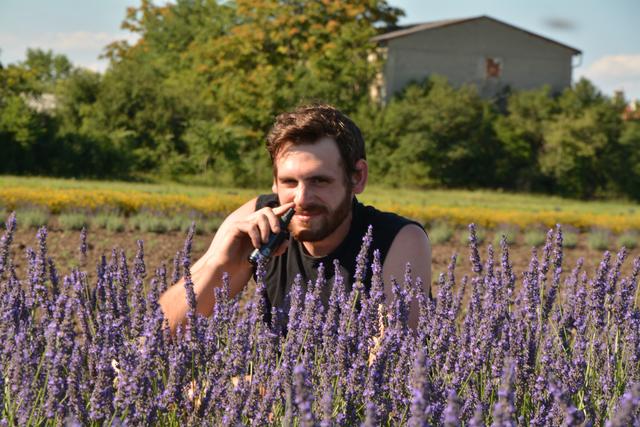 Stefan Zwickl in seinen Lavendelfeld. Schön langsam wird abgeerntet. 