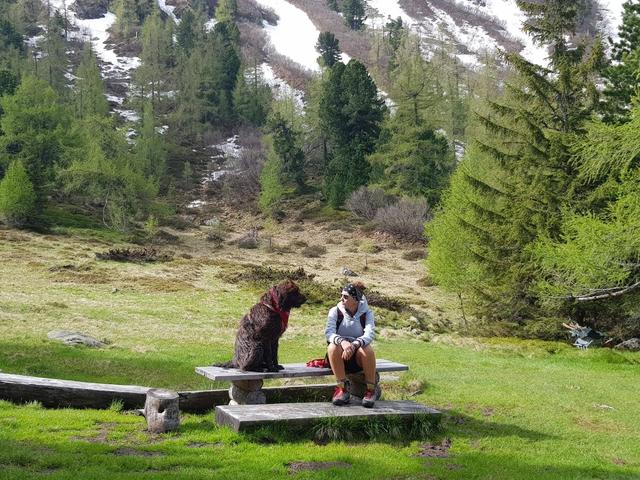 Petra Hellinger und ihr neuer Weggefährte Berti. | Foto: Hellinger