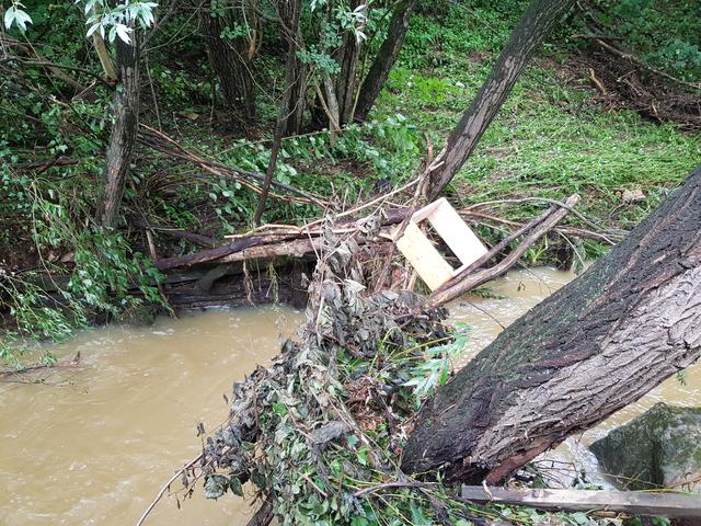 Besorgniserregend: Der Thalerbach nach den letzten schweren Niederschlägen.