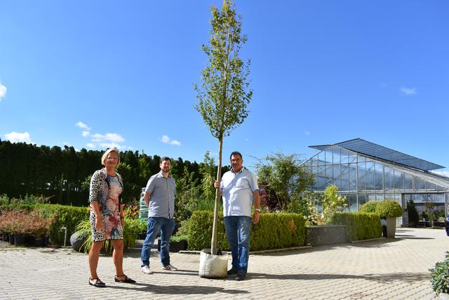 Bürgermeisterin Ingrid Salamon, Umweltgemeinderat Martin Pöttschacher und KR Alfred Bieberle wählen die Bäume aus | Foto: Stadtgemeinde Mattersburg