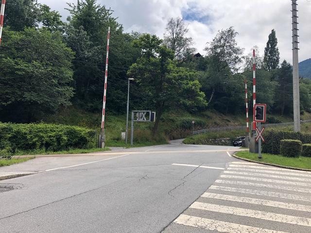 Foto: Carolin Siegele