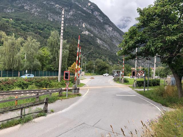 Foto: Carolin Siegele