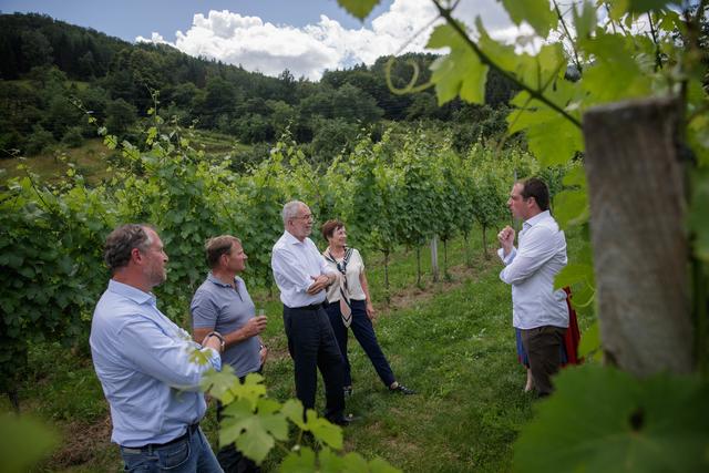Besuch beim Weingut Rixinger (v.l.n.r.): Die Winzer Johann Donnabaum und Josef Högl, Bundespräsident Alexander Van der Bellen und Gattin Doris Schmidauer, Winzer Fritz Rixinger (verdeckt seine Partnerin Carina Högl).
