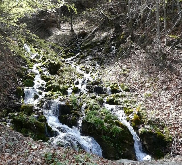 Pielach Ursprung