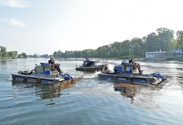 15 Amphibienmähboote sind auf den Wiener Gewässern im Kampf gegen die Wasserpflanzen im Einsatz.
