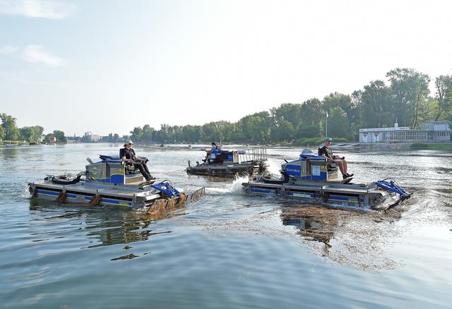 15 Amphibienmähboote sind auf den Wiener Gewässern im Kampf gegen die Wasserpflanzen im Einsatz.  | Foto: WGM/Jobst