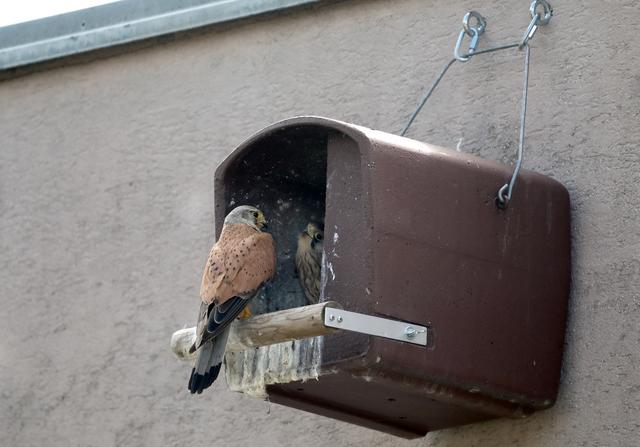 Foto: Dein NachbarLohbach/Rudolf Hofer