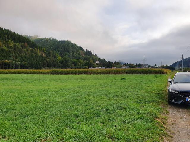 Fotovoltaikprojekt in St. Stefan: Das Grundstück am östlichsten Punkt der Projektfläche am „Begleitweg“ neben der Bahntrasse.