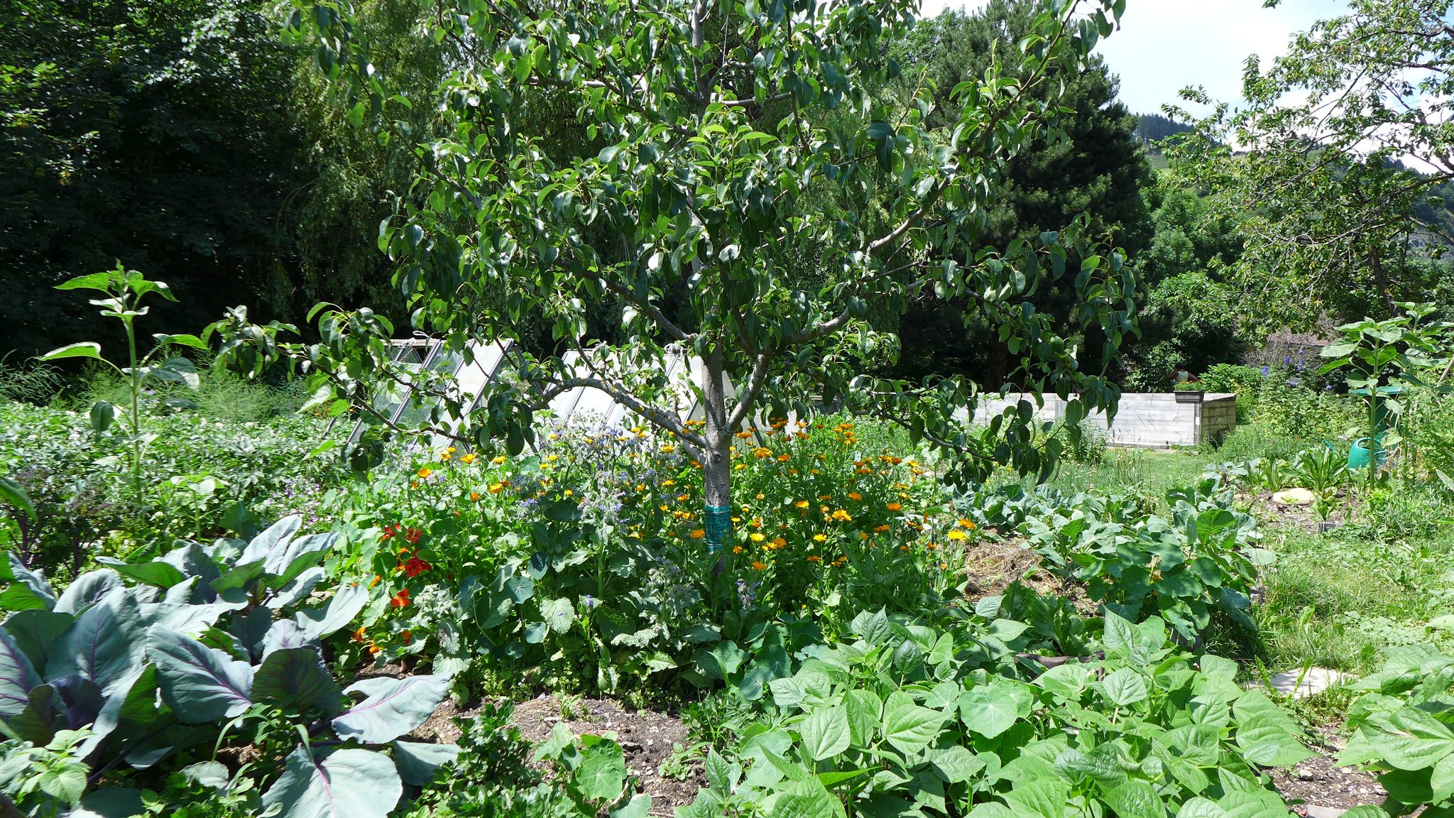 StubaiWipptal Der Garten als Lebensraum StubaiWipptal