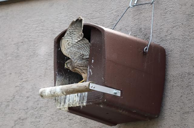 Foto: Dein NachbarLohbach/Rudolf Hofer