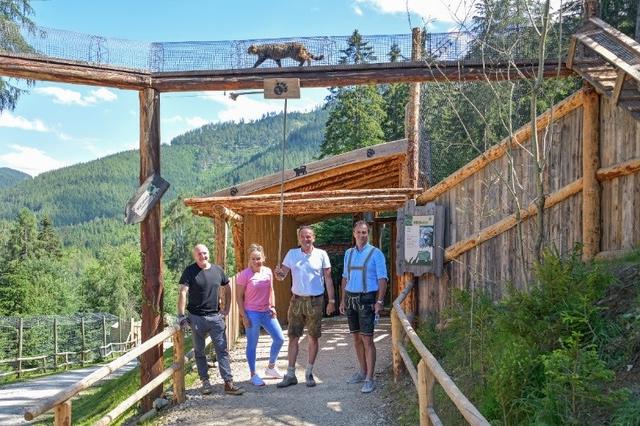 Wilder Berg-Geschäftsführer Georg Bliem (2.v.re.), ÖSV-Speed-Ass Tamara Tippler, Erzberg Land Vorsitzender Rudolf Tischhart (re.) und GoWild-Geschäftsführer Andreas Kaufmann öffneten das Türchen zum "Catwalk".  | Foto: © Herfried Marek
