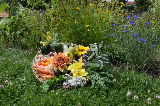 Vom Garten auf den Teller: Bei den Gartenspasswochen haben Kinder tolle Naturerlebnisse und lernen mehr über die Herkunft und den Wert unserer Lebensmittel