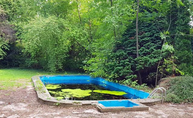 Haus Beer der schöne Garten mit Swimmingpool | Foto: Peter Markl
