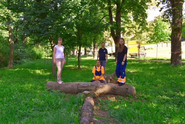 Familienstadträtin Verena Pöschl weihte gemeinsam mit dem Stadtgartenamts-Team den neuen Balancierpfad ein – das Pionierprojekt steht für ressourcenschonendes und kostengünstiges Spielerlebnis. | Foto: Stadtgemeinde Klosterneuburg/SchuhE
