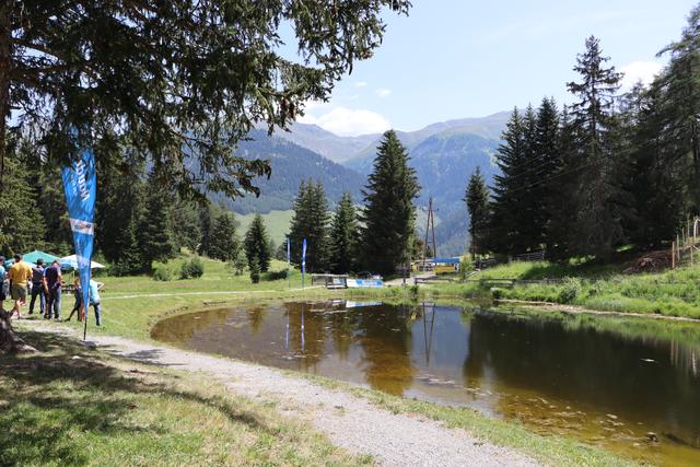 Foto: Siegele