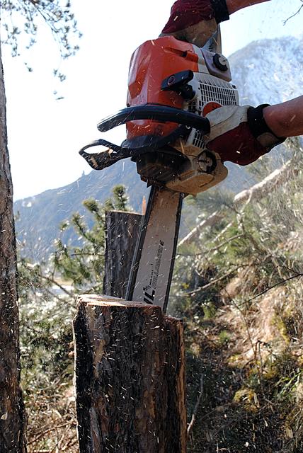 Bei der Arbeit im Holz ist man viel in der Natur unterwegs dennoch ist es körperlich oft sehr anstrengend.  | Foto: Huber