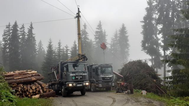 Seit 40 Jahren lautet das Motto der Holzschlägerung Abler "Egal wia steil, egal wia zwider, mir tian sie alle nieder". | Foto: Abler