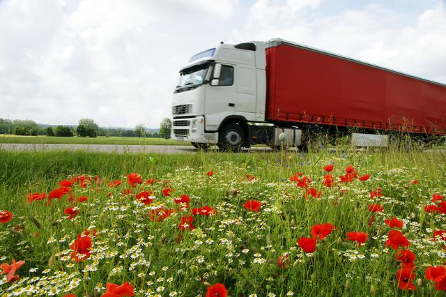 Von 432 Lkw-Fahrern missachteten sechs das geltende Lkw-Fahrverbot auf der B147,  der B156 und der L505.  | Foto: Gina Sanders/Fotolia