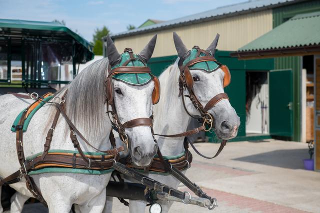 Foto: Die Landpartie 