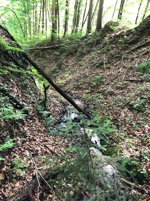 Foto: FF Fresing – Kitzeck