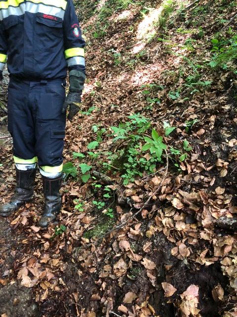 Foto: FF Fresing – Kitzeck