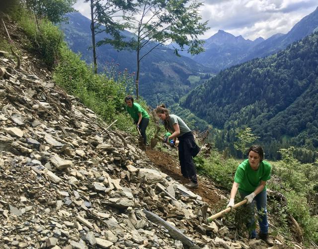 Schweißtreibende Arbeit: Die Freiwilligen tragen auch Steine ab. | Foto: Alpenverein