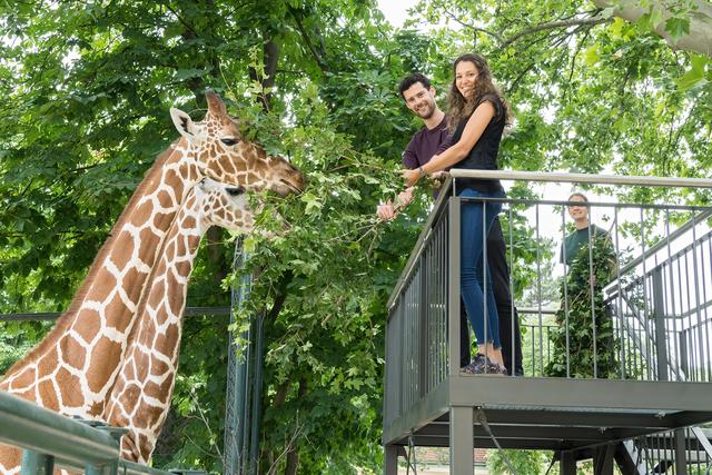 Für das neue Angebot wurde im Tiergarten extra ein besonderer Hochstand gebaut.