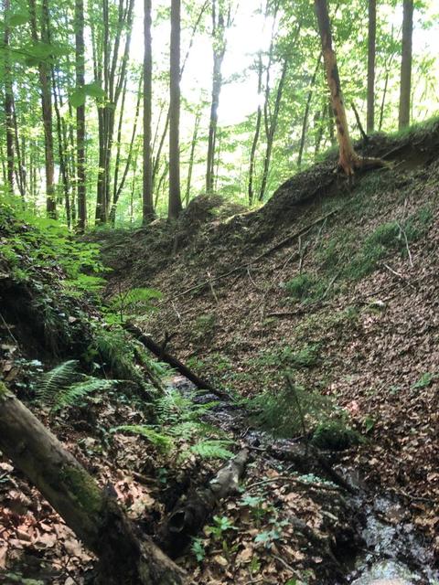 Foto: FF Fresing – Kitzeck
