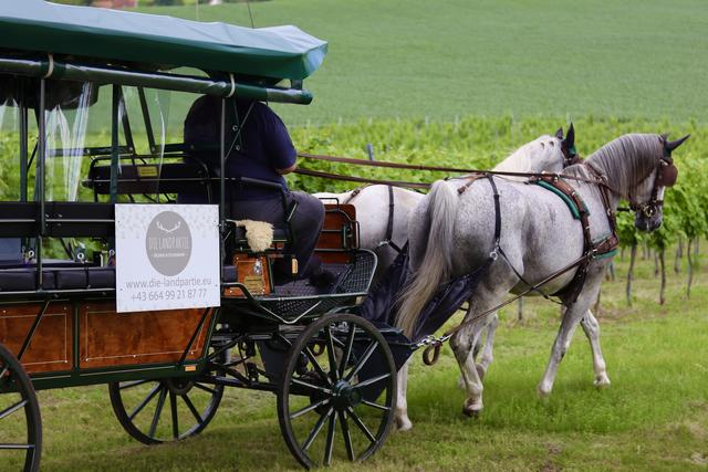 Foto: Die Landpartie 
