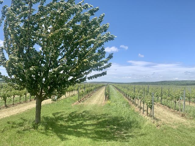 Foto: Die Landpartie 