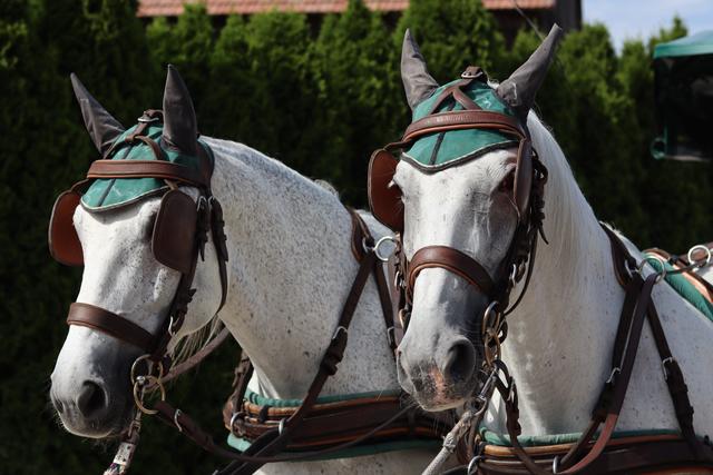 Foto: Die Landpartie 