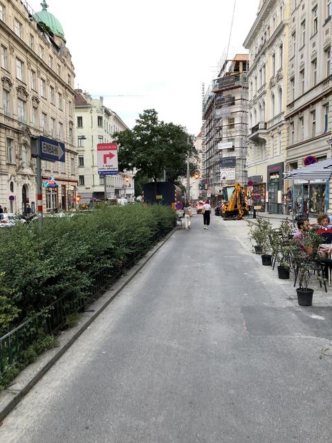 Im Herbst wird der Baum durch Neupflanzungen ersetzt.