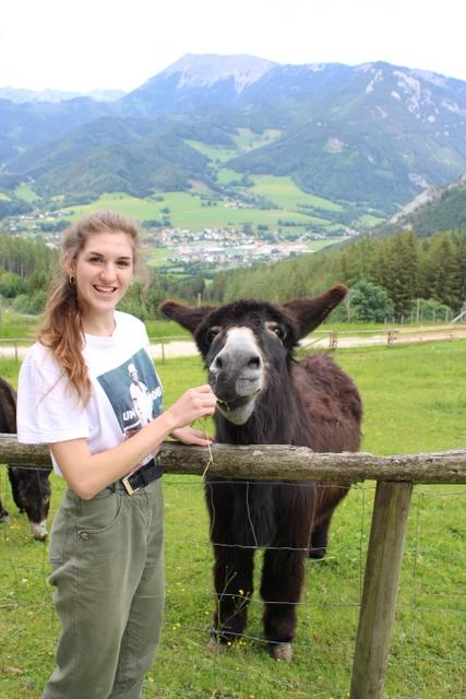 Tierische Unterstützung: Die Esel sind am Wilden Berg gaaanz lieb. | Foto: Danklmayer