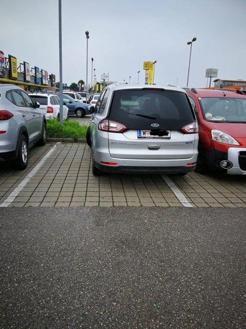 Kuscheln? Aber bitte nicht auf dem Parkplatz in Langenrohr. 