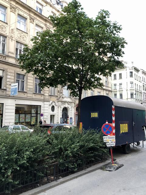 Im Herbst wird der Baum durch Neupflanzungen ersetzt.