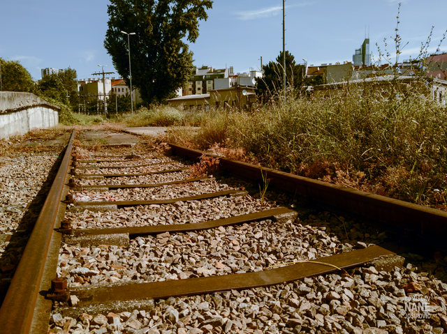 NACHHER - Das bearbeitete Bild.