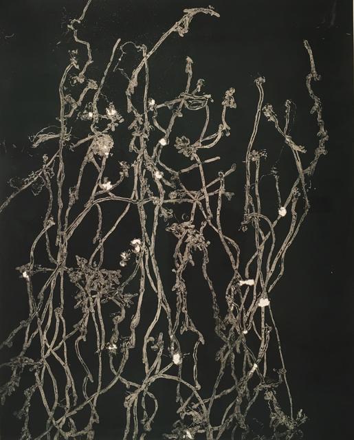 Foto: Maximilian Prüfer, Richtung, 2018, Naturantypie, traces of snails on paper, 113 x 92 cm, 44 1/2 x 36 1/4 in (Ausschnitt)