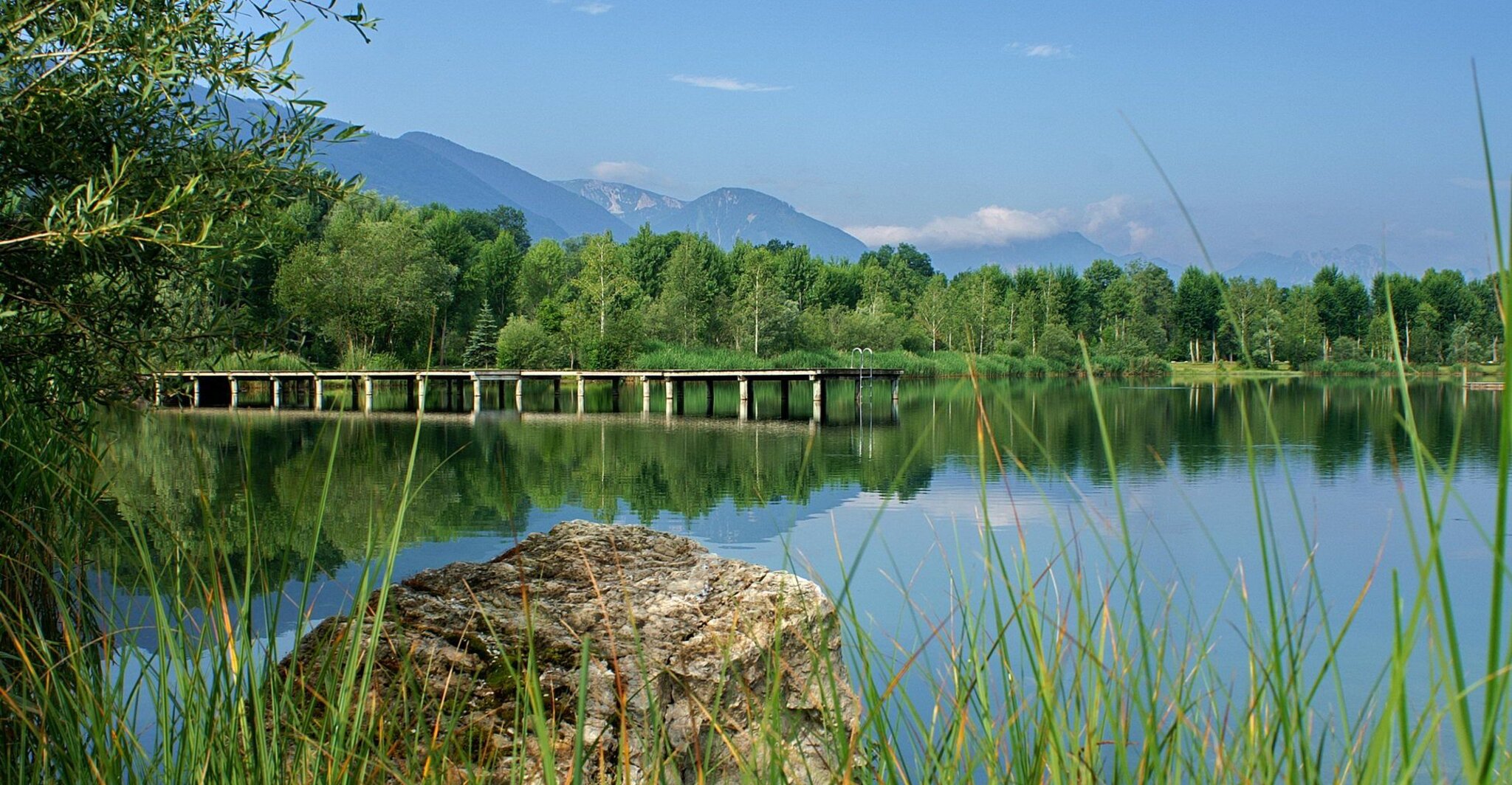 tierischer-badespa-in-ferlach-klagenfurt