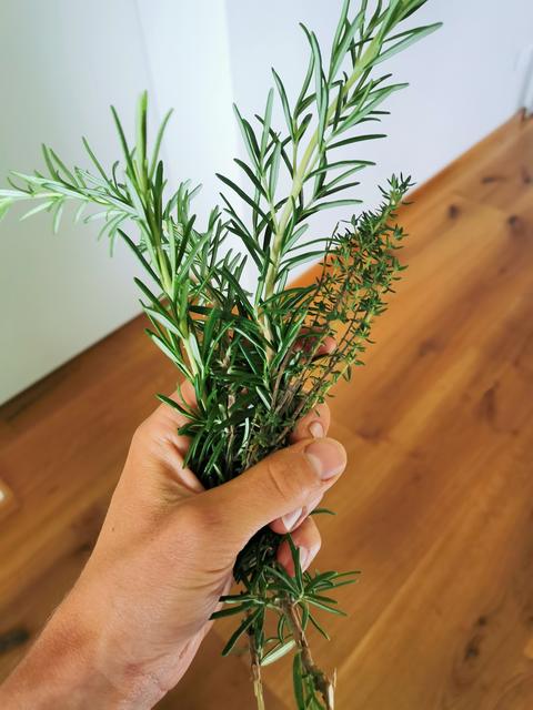 Rosmarin und Thymian sorgen für mediterrane Aromen | Foto: Katrin Ebetshuber