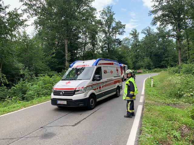 Foto: FF Rappoltenkirchen