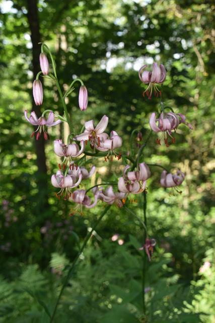 Foto: Martin Wurglits