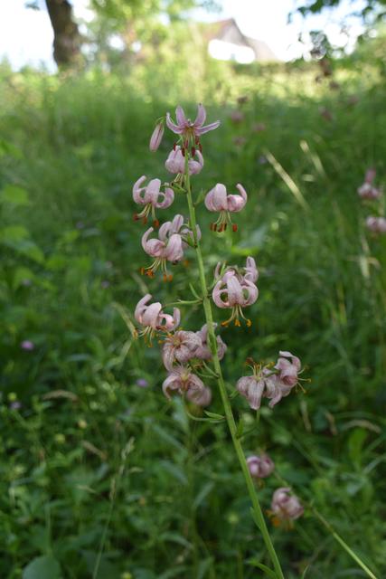 Foto: Martin Wurglits